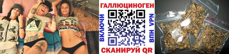 Псилоцибиновые грибы прущие грибы  купить   Чегем 